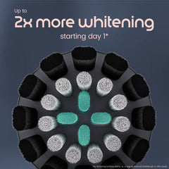 Rev Oscillating Toothbrush