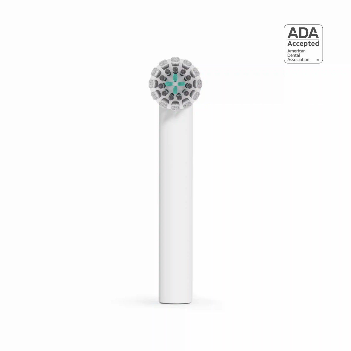Rev Oscillating Brush Head